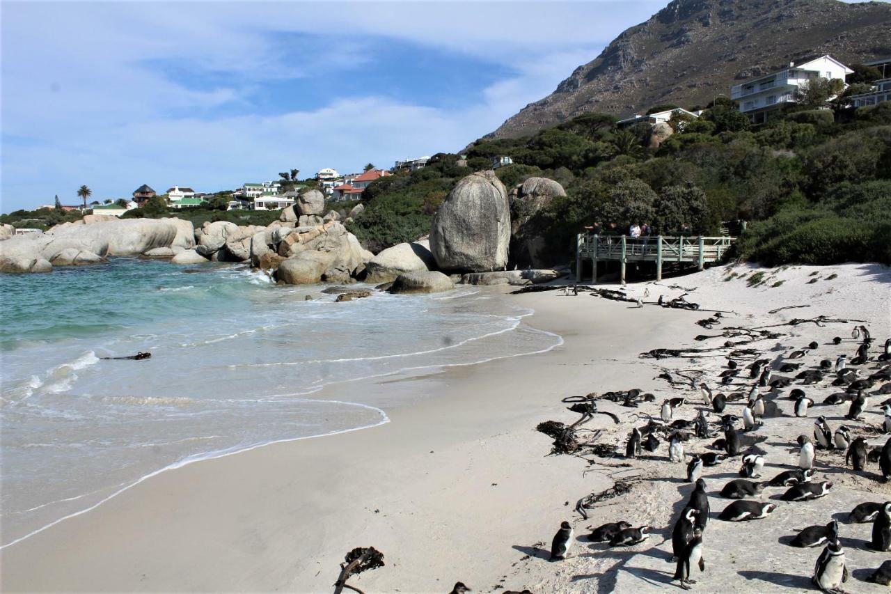 South Peninsula Beach Apartment Kaapstad Buitenkant foto