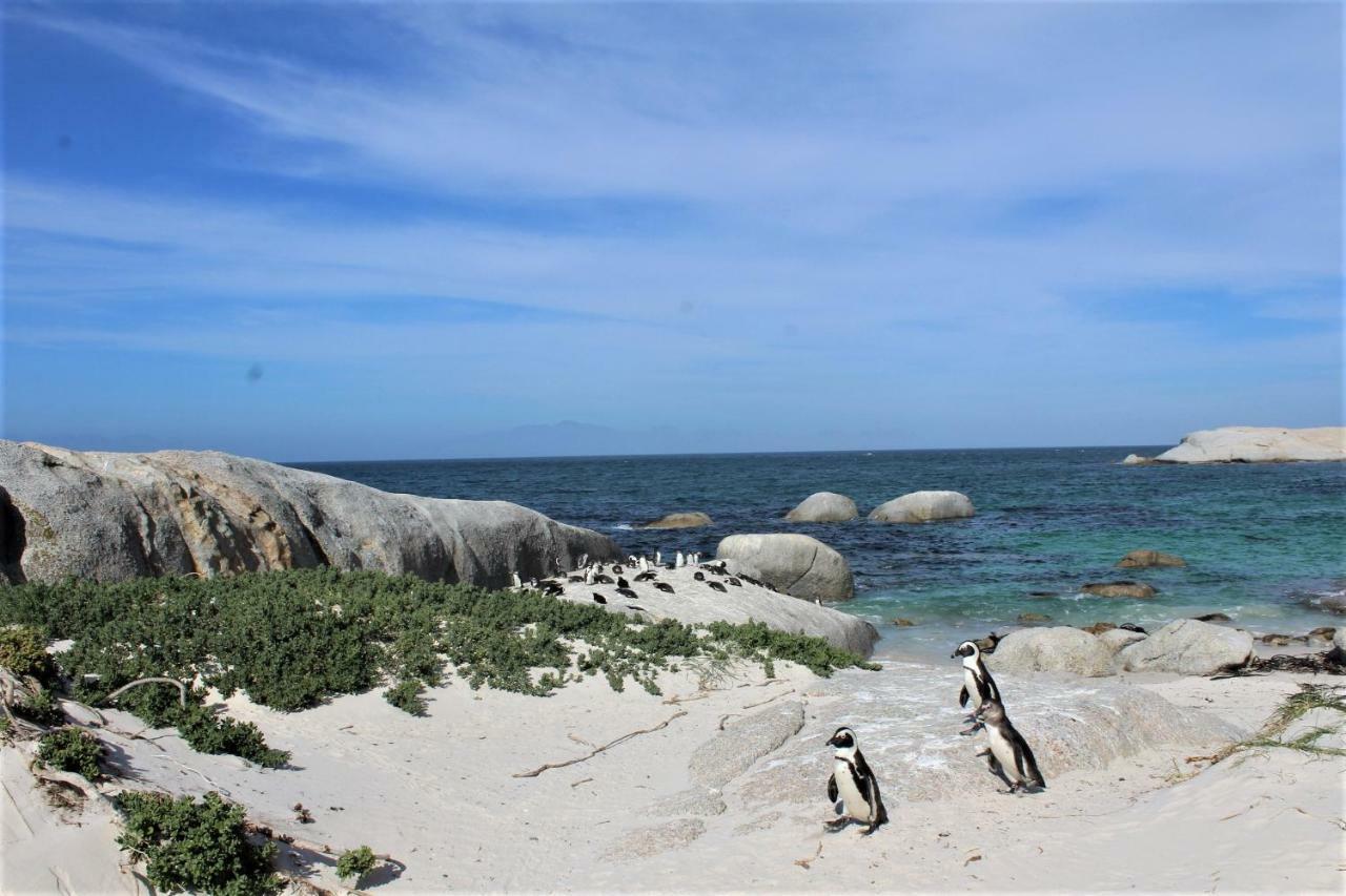 South Peninsula Beach Apartment Kaapstad Buitenkant foto